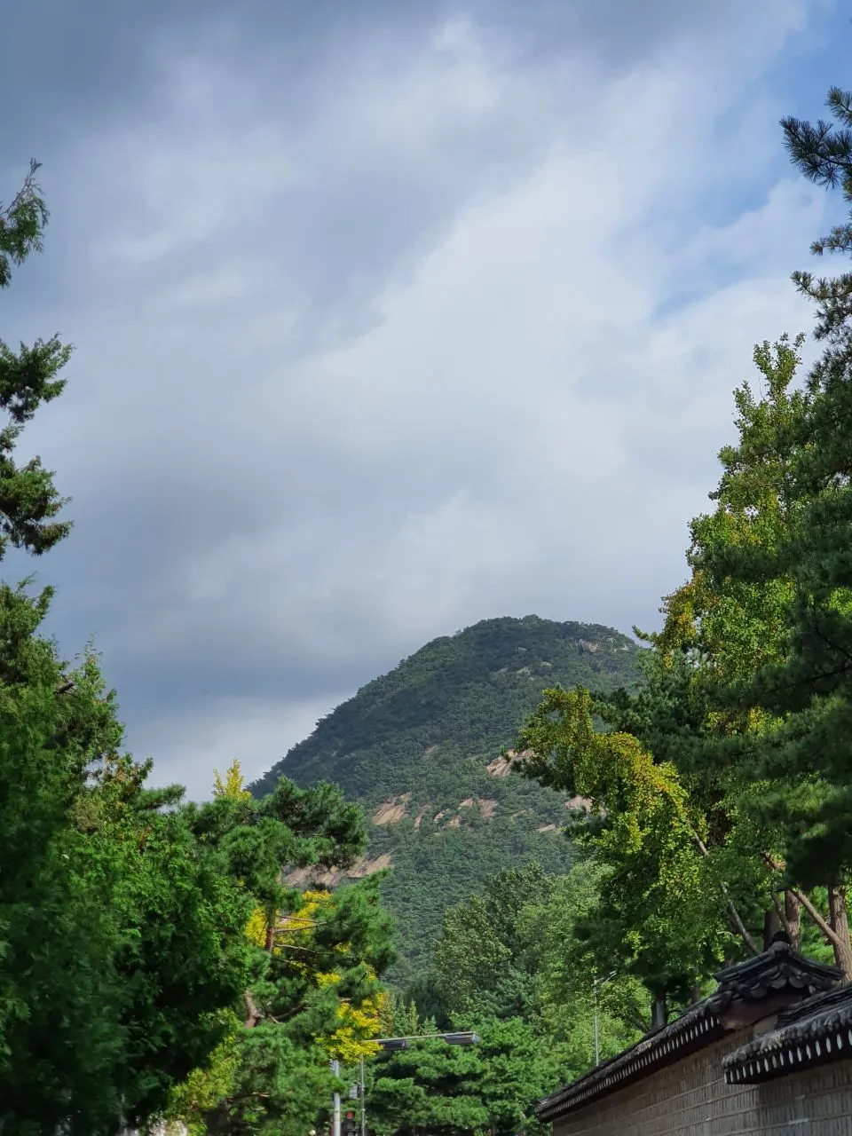 photo_2020-10-03 08.15.42.jpeg