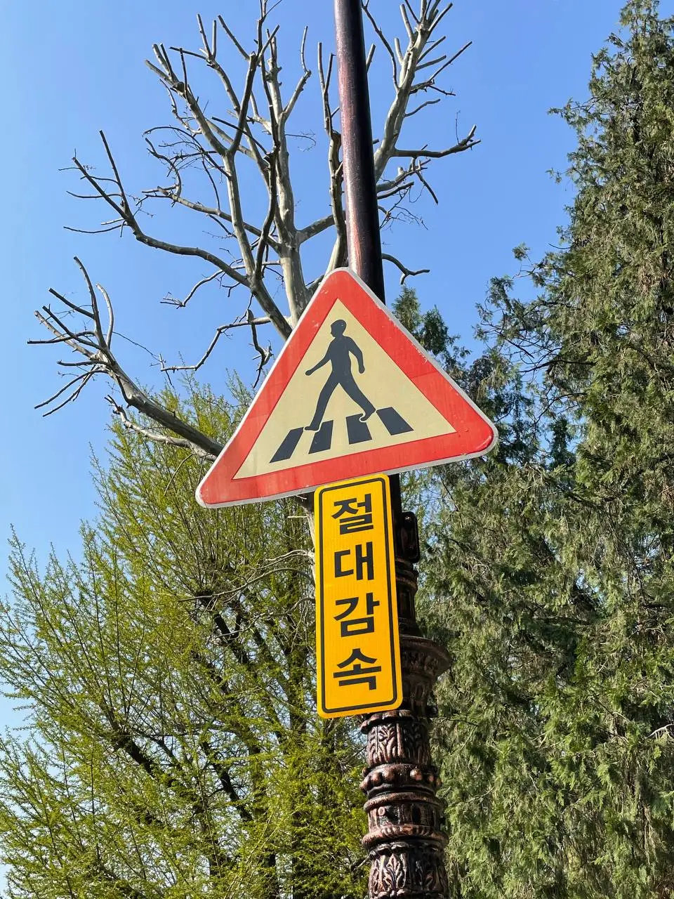 photo_2021-04-19 10.38.20.jpeg