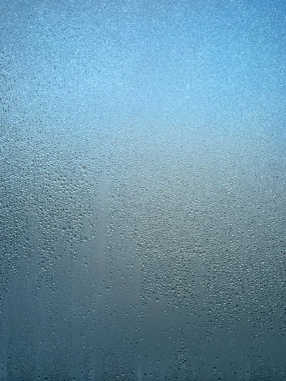 photo_2021-01-10 11.58.47.jpeg