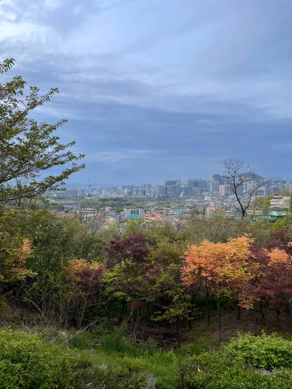 photo_2021-04-16 20.25.37.jpeg