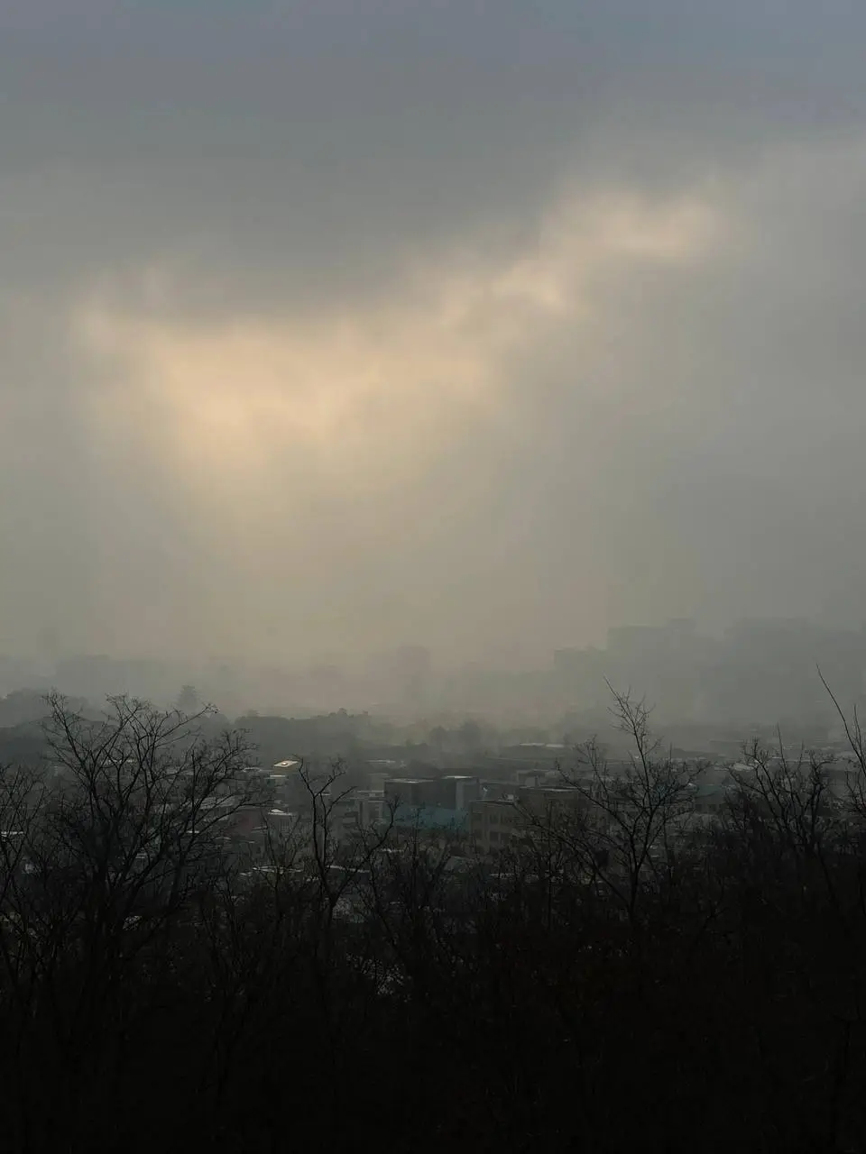 photo_2021-02-20 09.51.49.jpeg