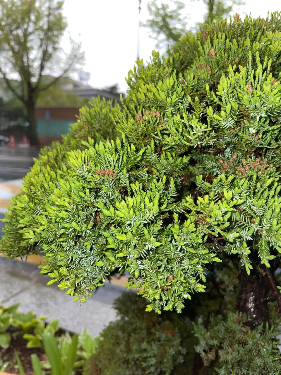 photo_2021-04-13 11.41.55.jpeg