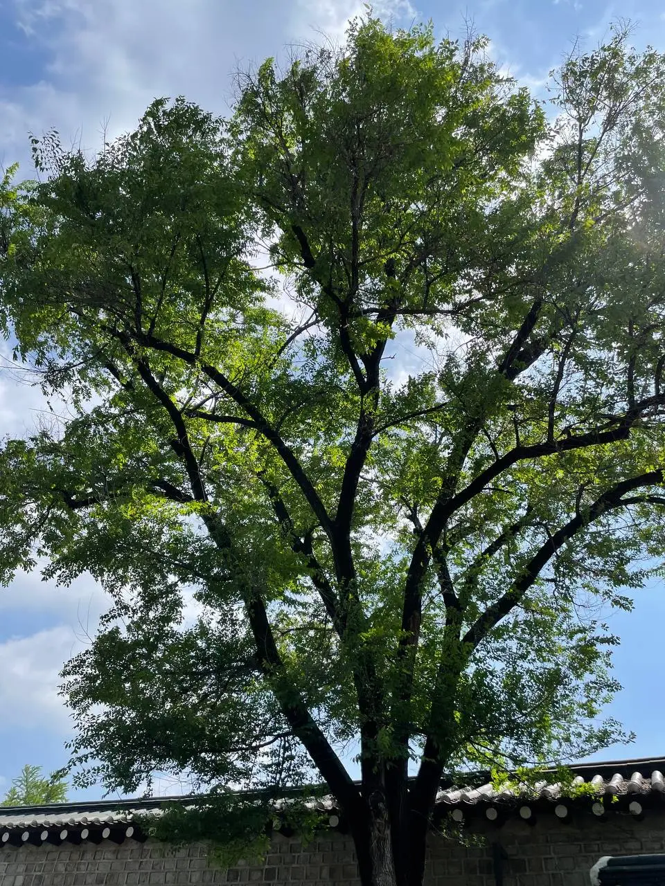 photo_2021-05-05 15.43.09.jpeg