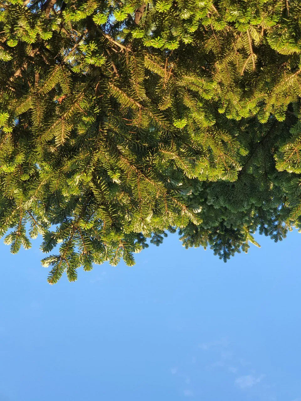 photo_2020-10-07 07.49.12.jpeg