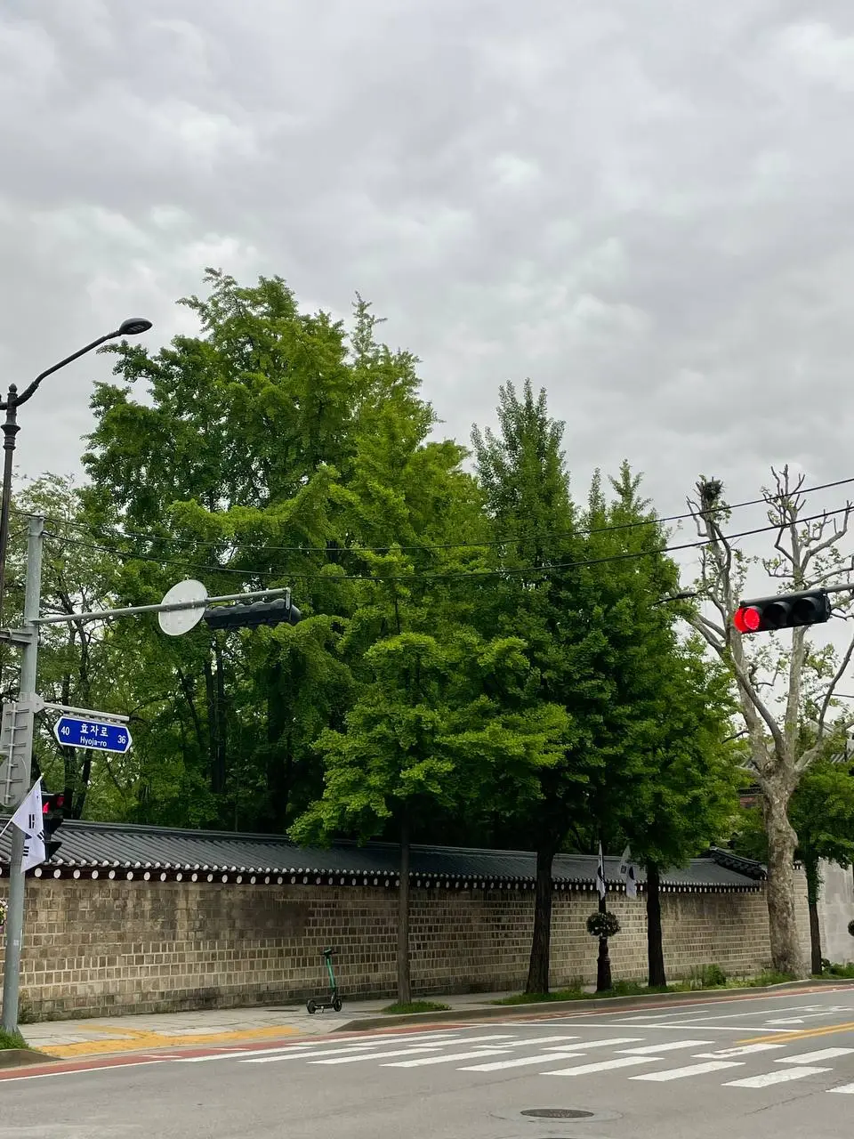 photo_2021-05-07 15.41.43.jpeg