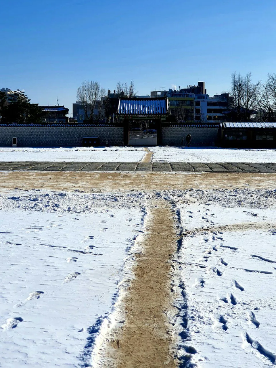 photo_2021-01-07 12.44.33.jpeg