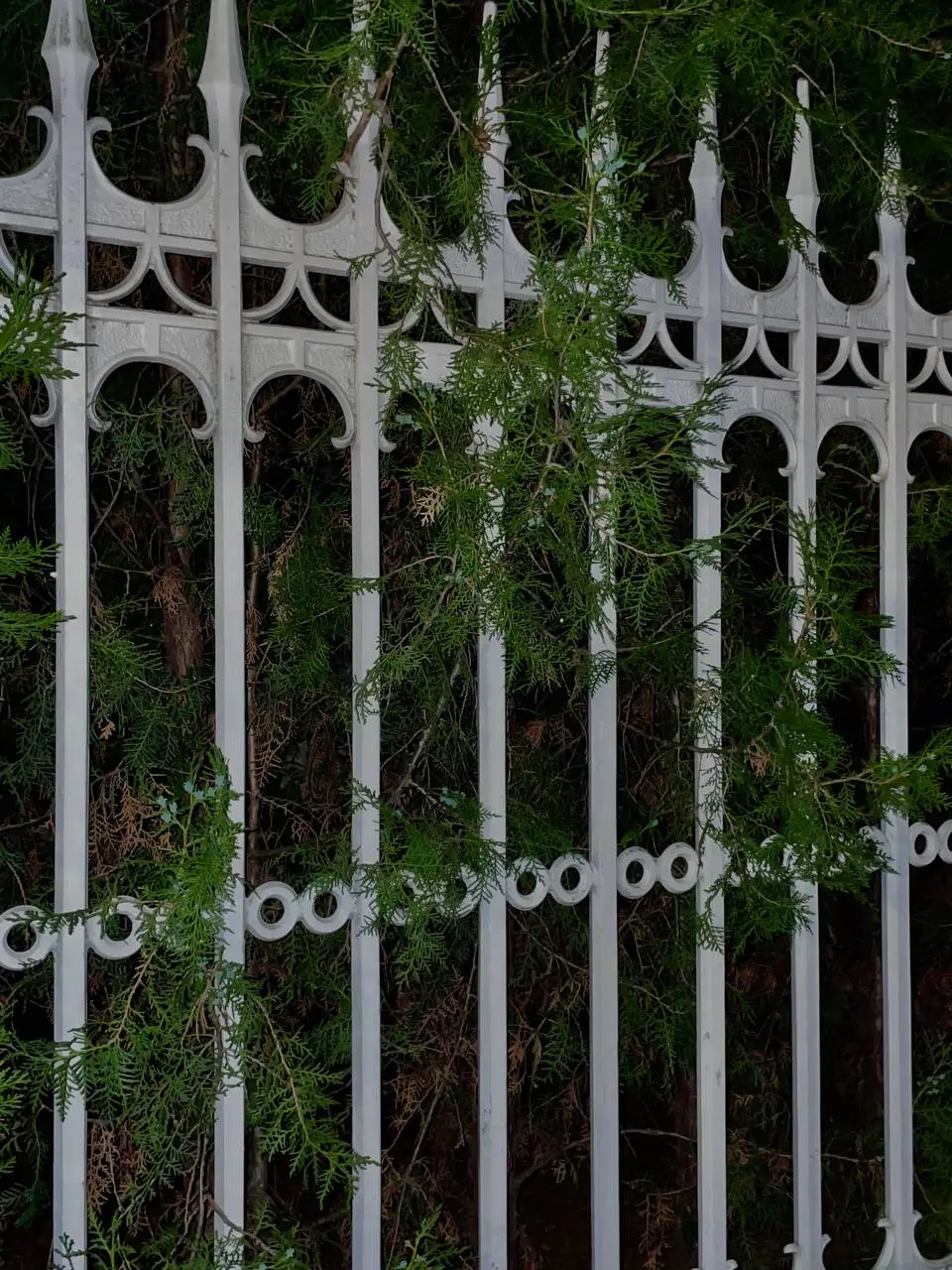 photo_2021-04-26 20.33.13.jpeg