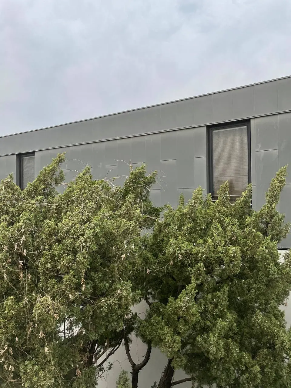 photo_2021-04-23 17.49.04.jpeg