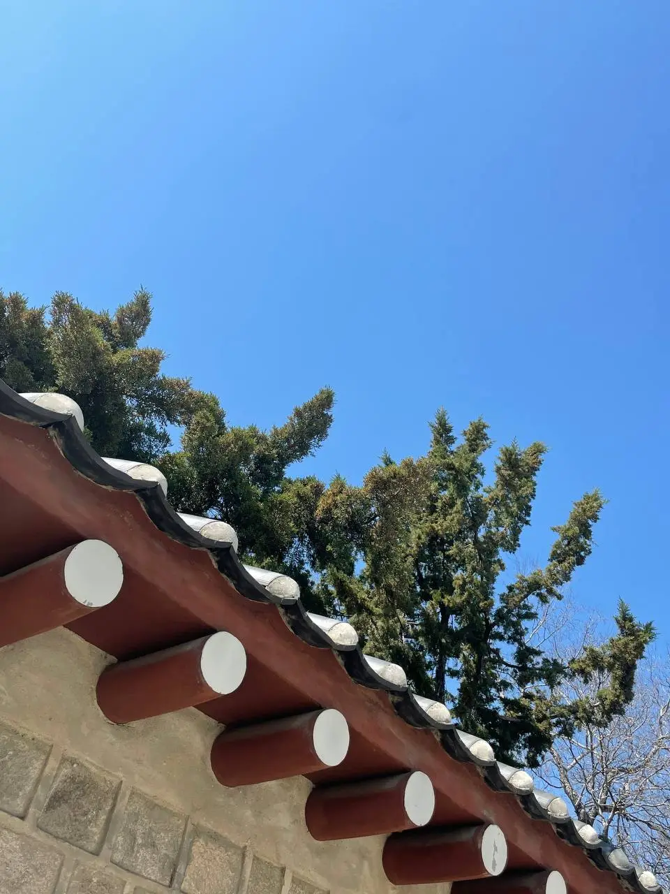 photo_2021-04-05 21.21.14.jpeg