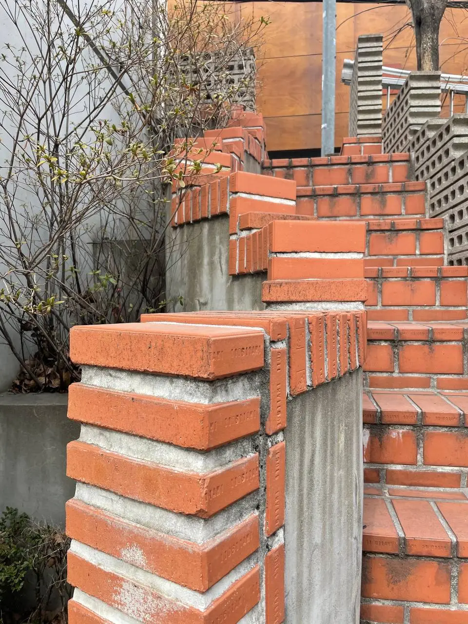 photo_2021-02-25 19.16.57.jpeg