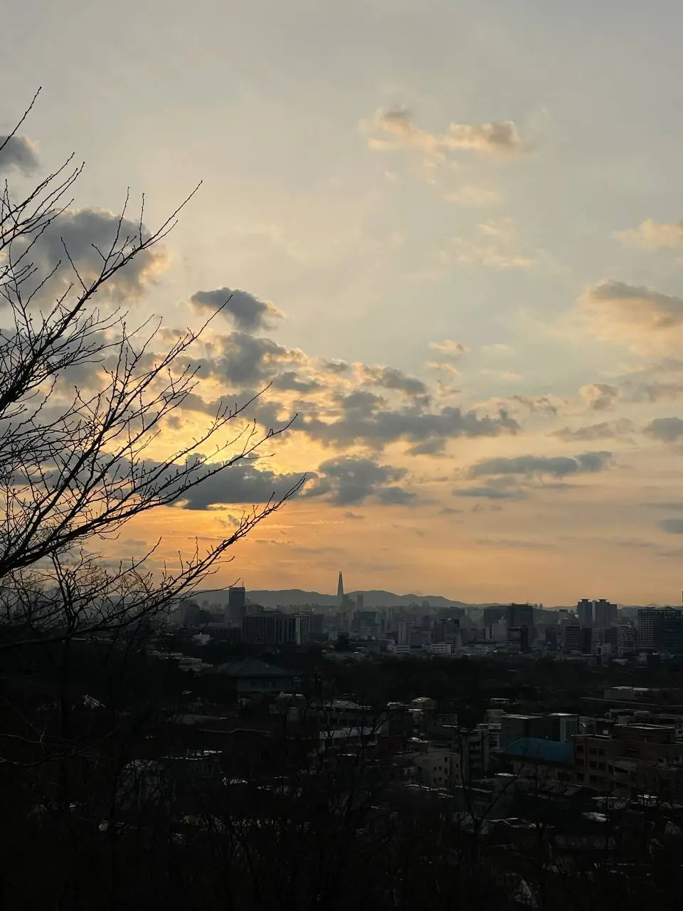 photo_2021-01-24 07.31.29.jpeg