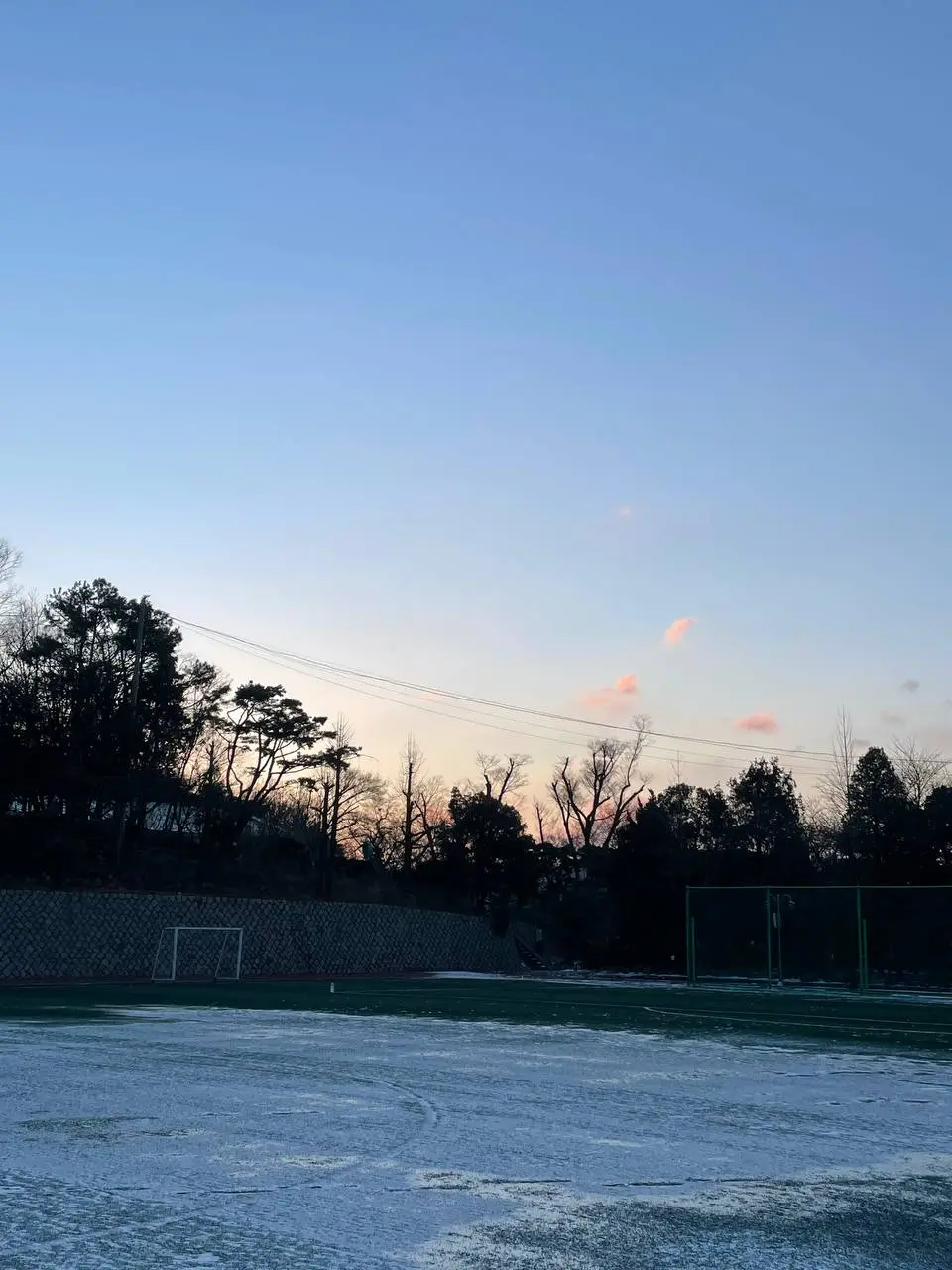 photo_2021-02-17 08.17.32.jpeg