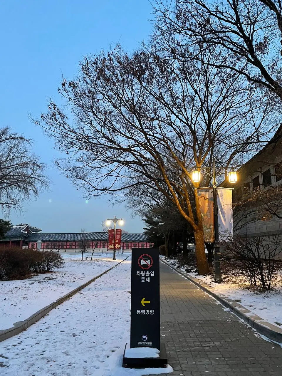 photo_2021-01-12 17.34.20.jpeg