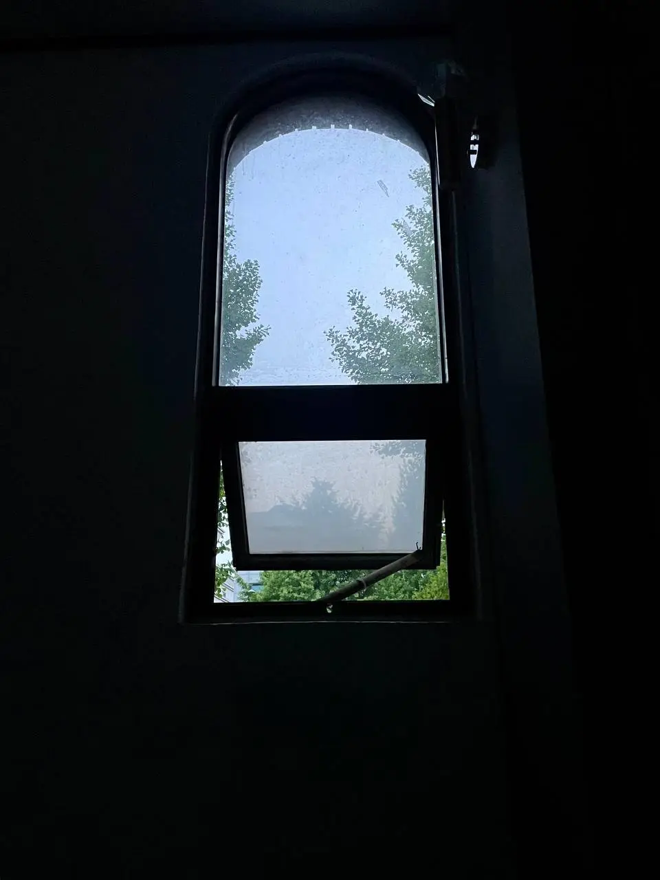 photo_2021-05-03 21.01.28.jpeg