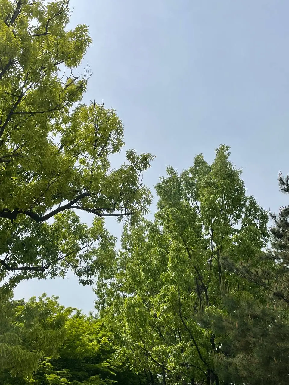 photo_2021-05-06 11.46.02.jpeg