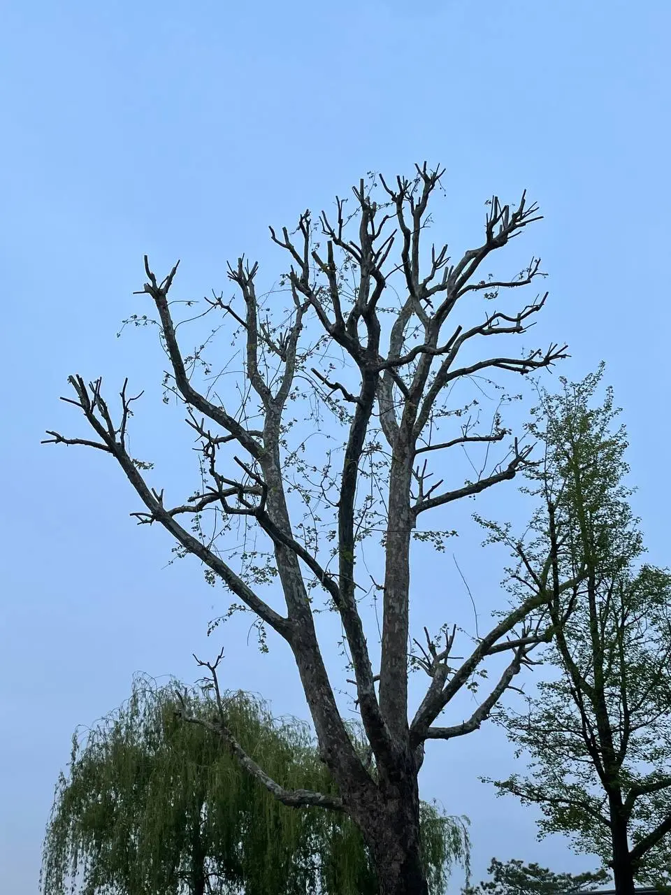 photo_2021-04-21 09.31.20.jpeg