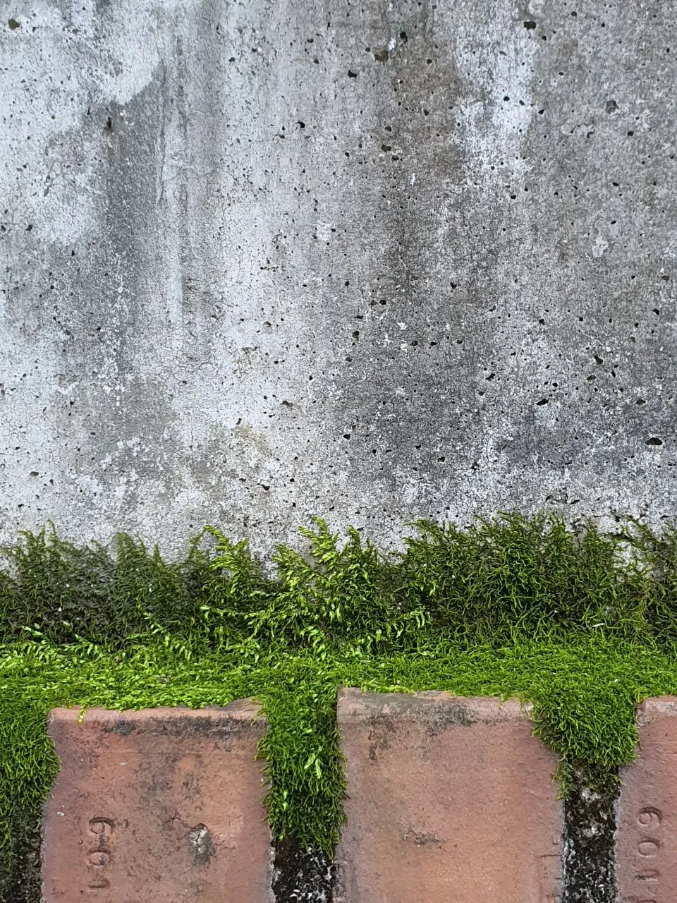 photo_2020-10-04 10.17.13.jpeg