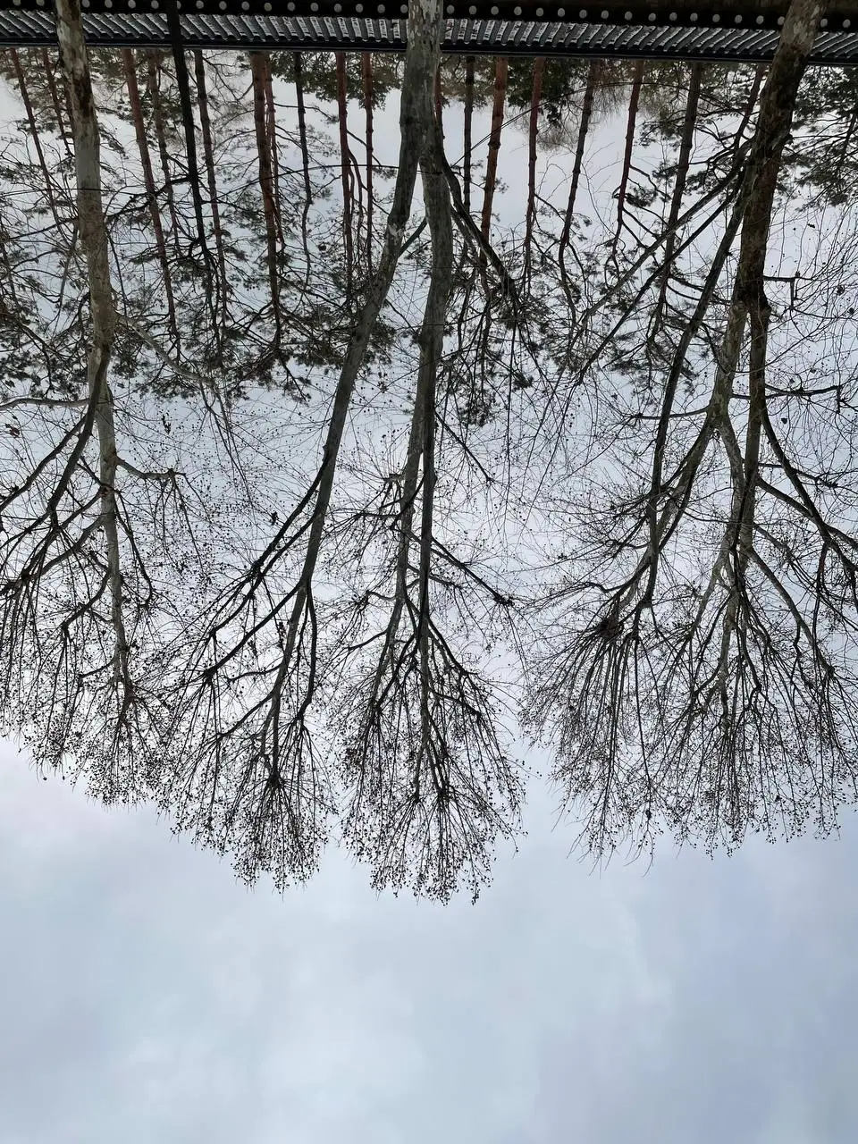 photo_2021-01-19 10.20.12.jpeg