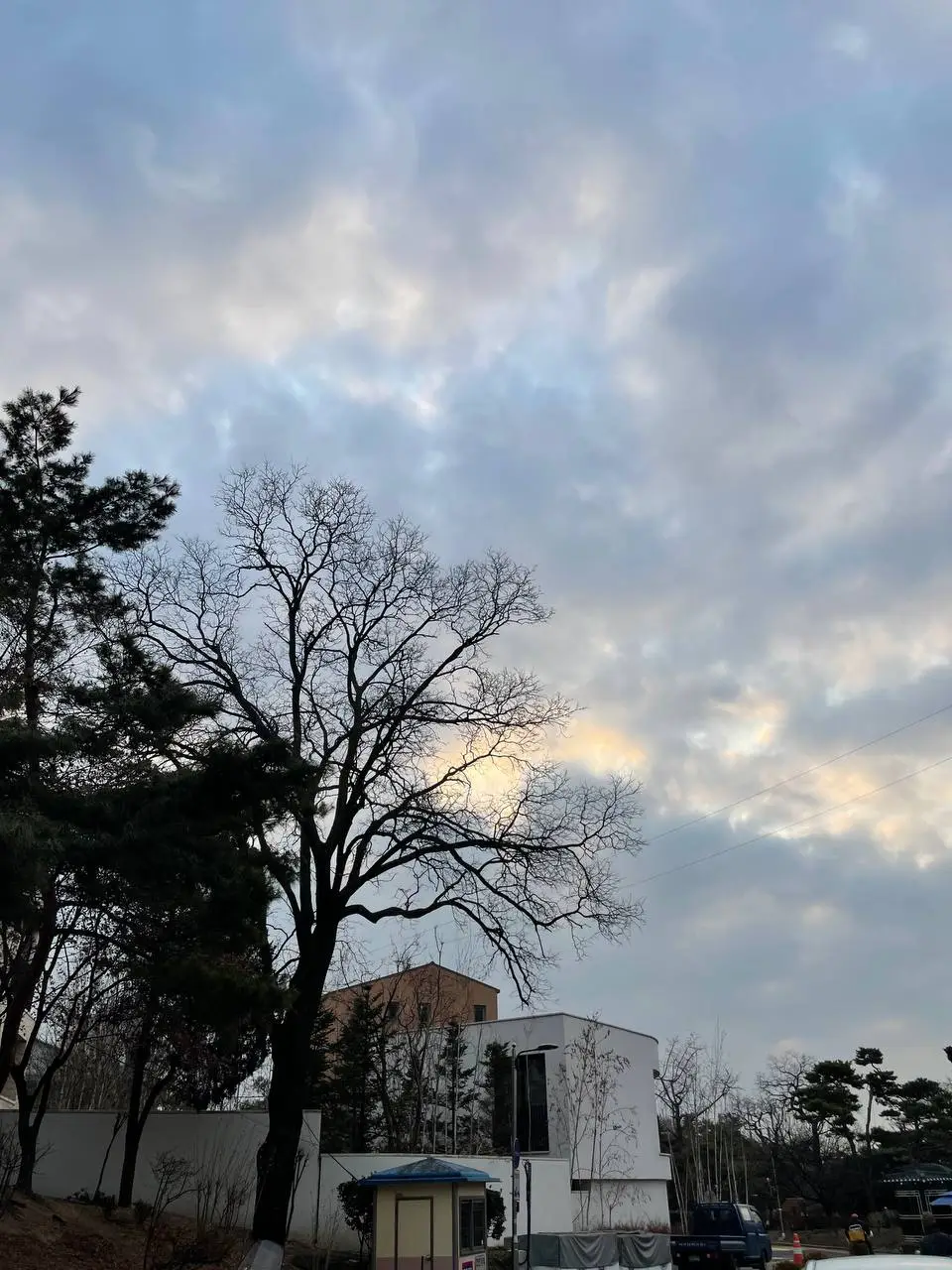 photo_2021-02-11 23.03.36.jpeg