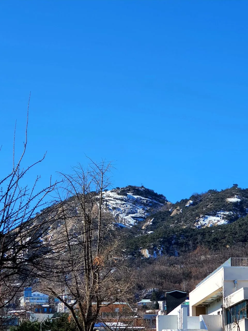 photo_2021-01-09 22.04.08.jpeg