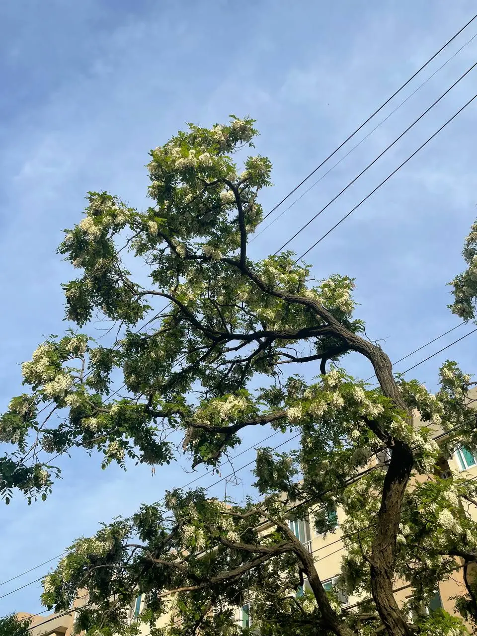 photo_2021-05-13 11.10.21.jpeg