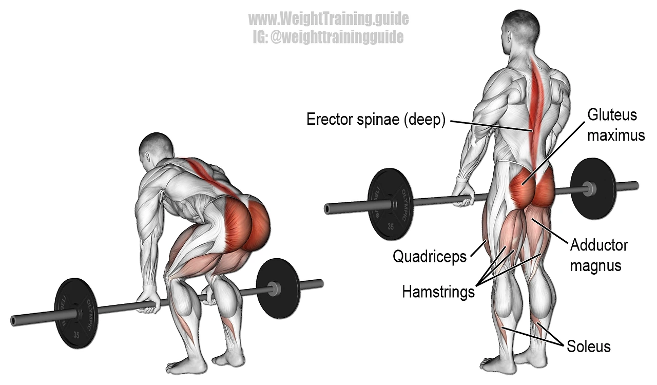 qO374Tm-Zji0gxXQPP_Kn0jj9hVxMRcQATHI-bjz28GET3MDFvB1HHtDgnsNO-D0wJ7GgtHE_MZWvdYnOvIkgvY7ImXHu79pkxiGnmA5ug3VbjnpLm5C_enHrxBAJl83-xOKk0Ty