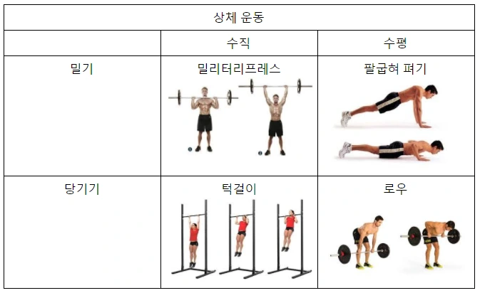 상체 운동.PNG