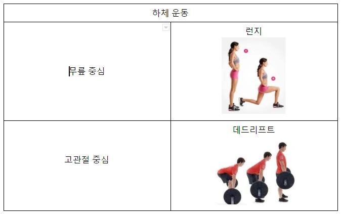 하체운동.PNG