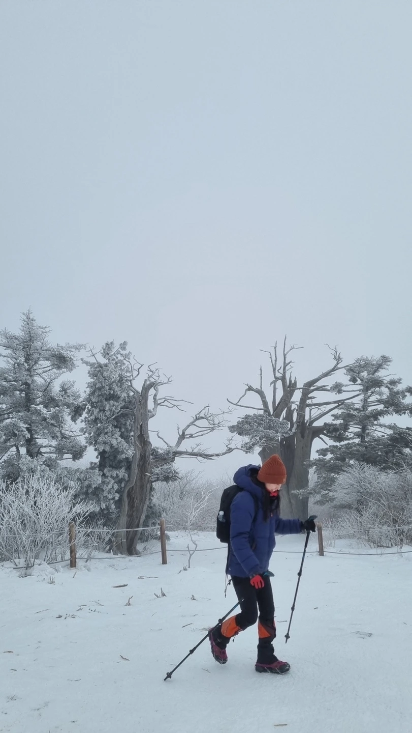 KakaoTalk_Photo_2024-02-04-22-45-25 009.jpeg