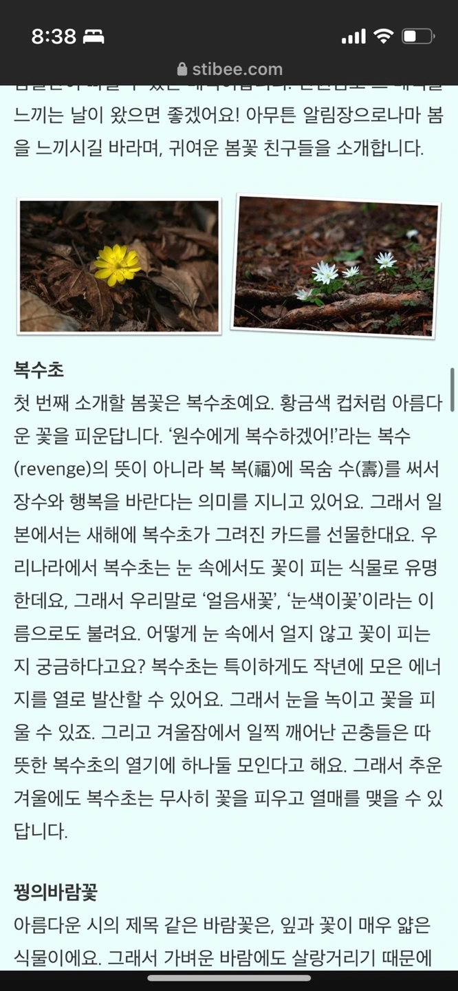 KakaoTalk_Photo_2024-02-07-23-52-33 004.jpeg