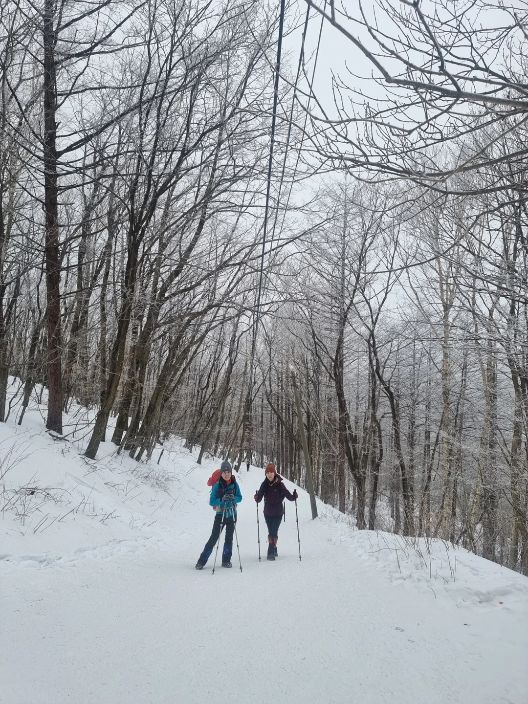 KakaoTalk_Photo_2024-02-04-22-45-26 018.jpeg