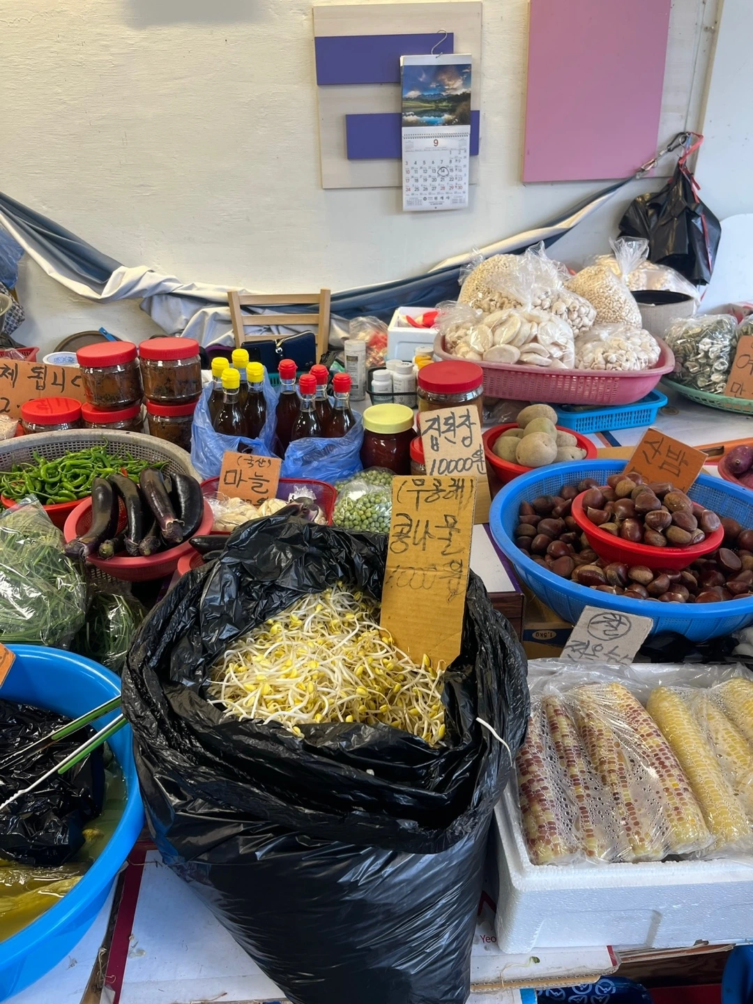 KakaoTalk_Photo_2024-03-02-10-41-07 009.jpeg