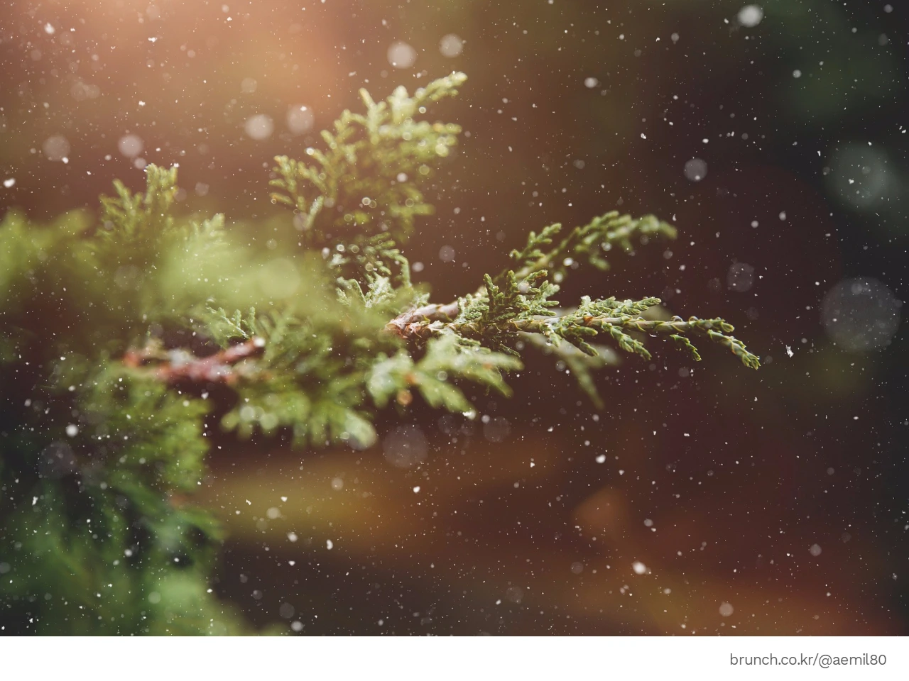 브런치12.jpeg