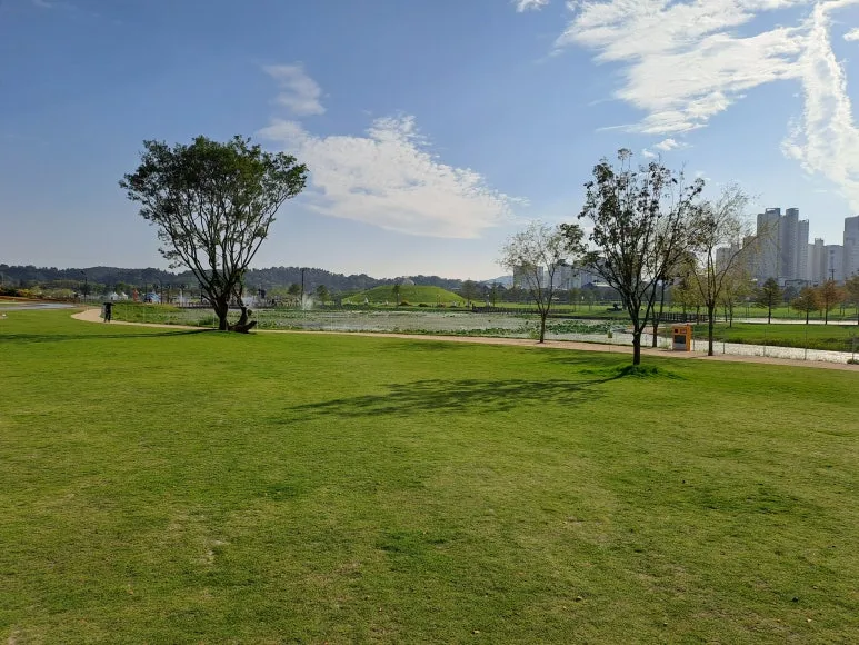 20230929_155413.jpg?type=w773