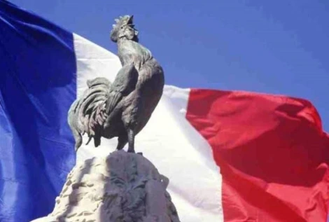 coq-fran%C3%A7ais.jpg?type=w773