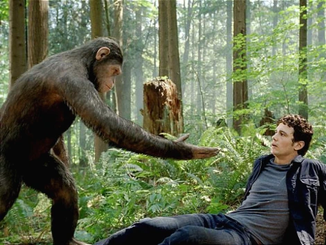 230C144C53AED0AD084E26