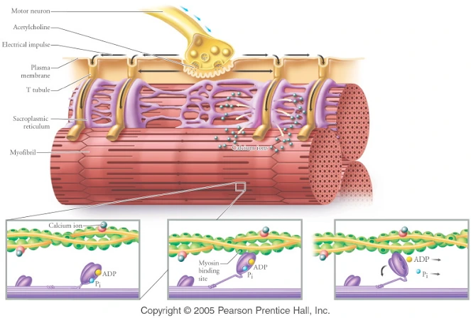 pWCoT5ACvAmlye1Hk3CfSpqWDWx77mdvngloXgBjk46PeYf717q_5-GsDWKrEHgx2quCOcvRN2-oGDIN9Gv7PMJTkN28saWeVvevTgkJv8JQMaUkKi-7dlv5JPDhyEPosC5S8XoTiVrTPeihd2yfK_k50yZD=w663-h447-p-rw