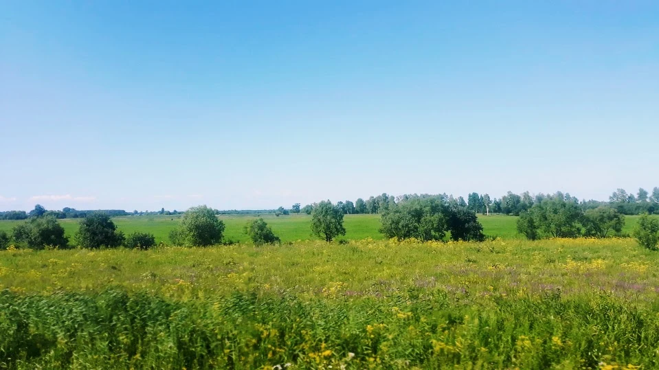 p4GgQnp-5i02U8zHcJvkjRGeHX79YjEZRgnvINzs-Jj6qEOrdbmtn9CXfu4CUroZuV1W_UMYO3phwe44ZWygz_8zP34GNsJ6P3cwM1CnwdUd5NXcGwBjTlk1nQD0E9mgK_7iqZUF8bW02niN3x3NJA_IJflr9F4z5AGjTVRf40beS83MqwiuEZONzRxUgd4WW1wFxPpkXmR7nMc2O-pNvgdRZQfjRABaqOYnAMn18MEcZ1BFVpLUUwLGO2wIfWu-cLmG6jMIECMcalMyc5mbuut9d3zU-53bbBIjTTVF6X8fO2VPKcOAkpwEFu_aJ_x_6SURZ4hcZ_W39P0jUAWO6p2dJEbBljV0BxiyYEP-BtRtILXjDVHXaQXq8IF_lJwrNQ_x7dPRawKxbr-O_O0L9eOiafhDNCUiX5CQi47mvDlztzTeZbH2lVE5JGDegV34iz2-sUfykgVv0iWRmDyH8PGf7hVGKIKzN4bXsBcFqQPm3celTP7FtlfmBCVjzM8fbJbHTAnIwux_8qgziS4qdHwCgmJXYkypQ3Ed00tFVco0M-QiOJw2QZs2-fgW7QrC04zqHCj7xjPSteoBneA-mTgTn8gtiRFj0p_GJ9OavzONmzZVvmDhBWsQ7dTB3gk=w959-h540-no