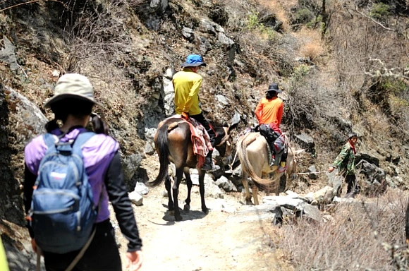 19022B4F504808E529B792