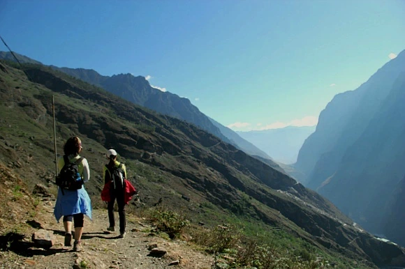 2441964D53DF0E343DFE50