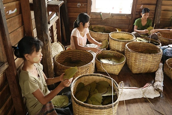 2413764F52FB23432D7EA4