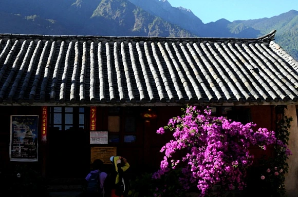 11728D5050480E6E14D13E