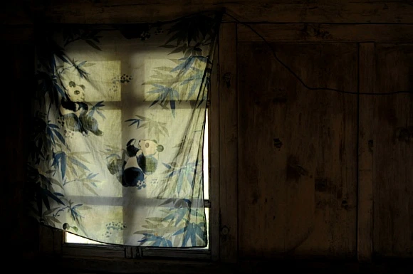 2010773A50482CD82B5120