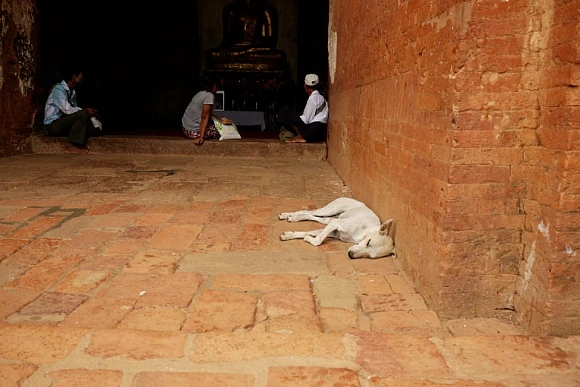 2757484D52FD74FF3031C1