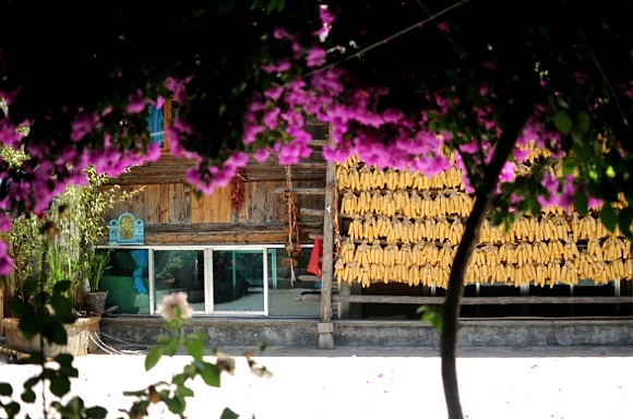 1807EA4F504808E921C5BA