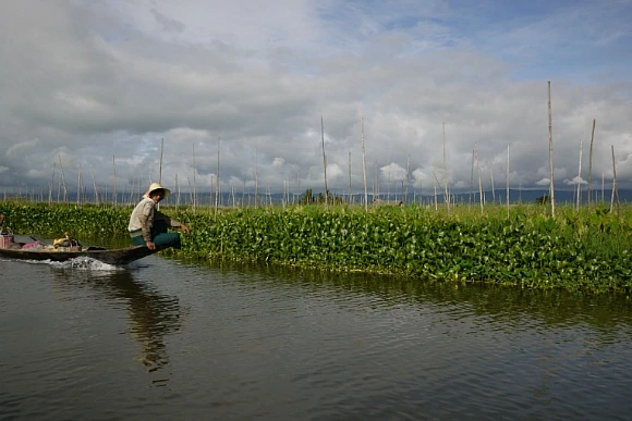 25672E3B52FB23380C0093