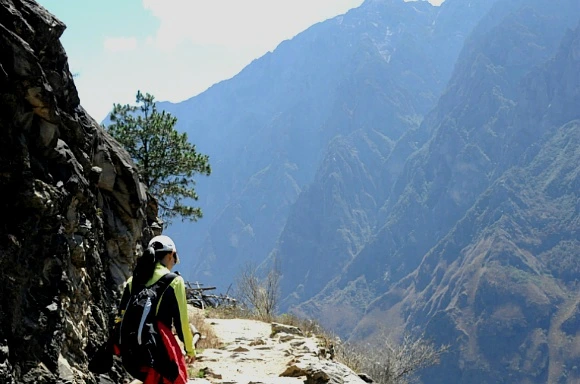 206CC33E5048175D190A75