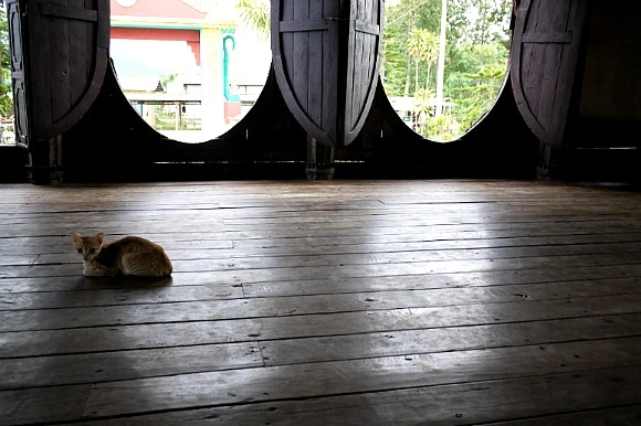 277E074352FC560D152EBC