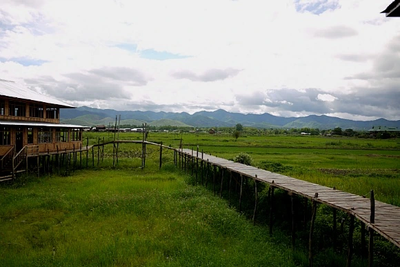 241F104D52FB233D2D604D