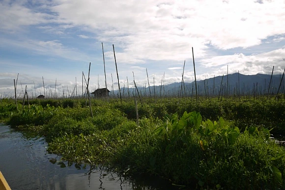 2725774D52FB2339299C7A